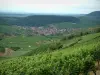 Wine Trail - Hill covered by vineyards, Alsatian village below and forests far off