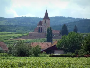 Wine Trail - Vineyards, trees, houses and church of Hunawihr, hills covered by forests in background