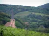 Wine Trail - Vines, Saint-André church of the village of Andlau, trees, houses and hills with vineyards and forest