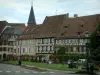 Wissembourg - Jardín de flores, casas antiguas y la torre