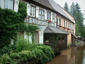 Wissembourg - Plants and houses with colourful facades by the River Lauter