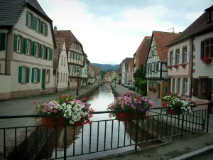 Wissembourg - Rivier de brug en bloemen (Lauter) waar zich huizen