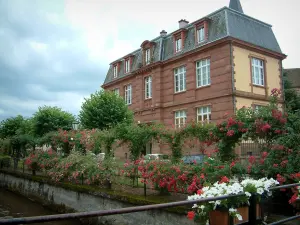 Wissembourg - Puente de las flores, jardín de rosas, árboles y restos