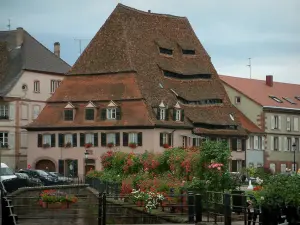 Wissembourg - Flower-covered bridge, rose garden, Salt house (Maison du Sel) and houses