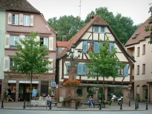 Wissembourg - Flower-bedecked fountain, trees and houses