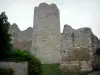 Yèvre-le-Châtel - Castle (middeleeuwse burcht)