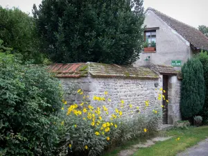 Yèvre-le-Châtel - House, yellow flowers and shrubs