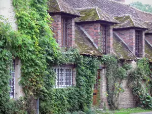 Yèvre-le-Châtel - House with attic windows, creepers decorating the facade