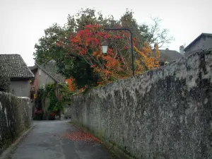 Yvoire - Ruelle, murs, lampadaire, arbres aux couleurs vives de l'automne et maisons du village médiéval