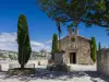 ゴッホを発見：サンレミドプロヴァンス、サンポール*ド*モーソーレ、レボーとアルルへの訪問 - アクティビティ - ヴァカンスと週末のAix-en-Provence