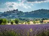 プロヴァンスの遠足：腰掛け村や市場 - アクティビティ - ヴァカンスと週末のAix-en-Provence
