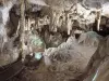 ベタラムの洞窟のガイド付きツアー - アクティビティ - ヴァカンスと週末のSaint-Pé-de-Bigorre