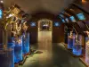 卢浮宫地窖：在巴黎市中心品尝法国葡萄酒 - 活动 - 假期及周末游在Paris