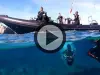 水肺潜水 - 活动 - 假期及周末游在Bonifacio