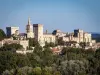 Bilhete Pont d'Avignon, Palais des Papes e Jardins Pontifícios (dependendo da opção escolhida) - Atividade - Férias & final de semana em Avignon