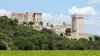 Billet coupe-file Abbaye de Montmajour - Arles (à 40 min d'Avignon) - Activité - Vacances & week-end à Arles