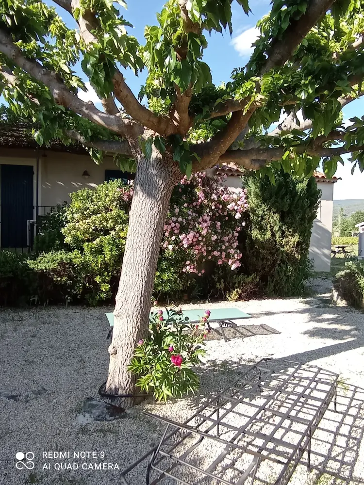 Le Cabanon d'Amandine et Gabriel