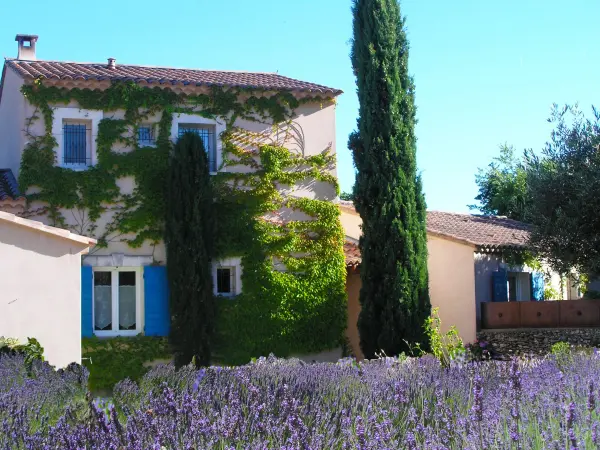 Camere- Angolo cottura-Le clos des lavandes - Bed & breakast - Vacanze e Weekend a Lacoste