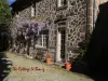 Casa Senhorial Cottage - Aluguer - Férias & final de semana em Lacroix-Barrez