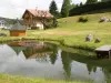 Chalet centaurée -climatisé Rémy Hérold - Location - Vacances & week-end à Xonrupt-Longemer