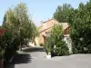 Le clos du passant - Bed & breakfast - Holidays & weekends in Fontvieille