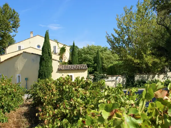 Côté provence - Bed & breakast - Vacanze e Weekend a L'Isle-sur-la-Sorgue