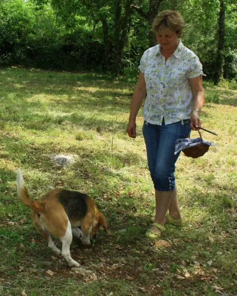 Descubriendo la trufa - Actividad - Vacaciones y fines de semana en Limogne-en-Quercy