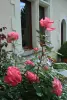 Flores de lírio - Pousada - Férias & final de semana em Loire-Authion