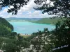Gite du Brillat - Le lac de Chalain