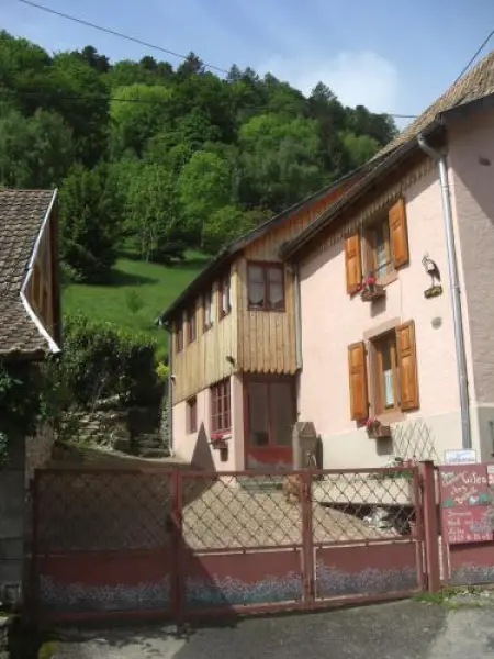 Gîte Chez Babette - Habitación independiente - Vacaciones y fines de semana en Linthal