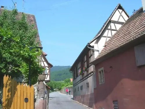 Gite Colmar - Alquiler - Vacaciones y fines de semana en Niedermorschwihr