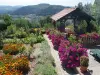 Le Gite Fleuri - Jardin avec vue panoramique