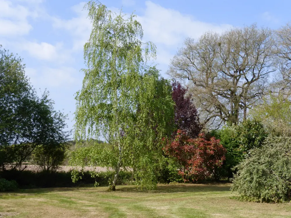 Gîte de Nizereille - Parc