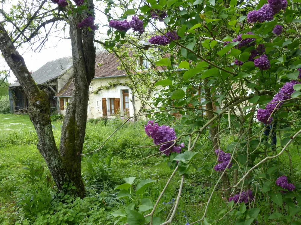 Gîte de Nizereille - Vue depuis le jardin