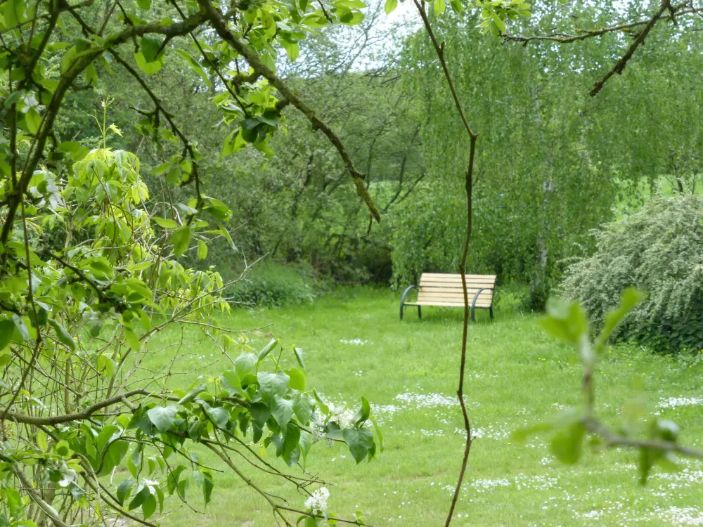 Gîte de Nizereille - Parc vue depuis le jardin