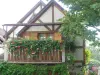 Gitelsass67 - Rental - Holidays & weekends in Kintzheim