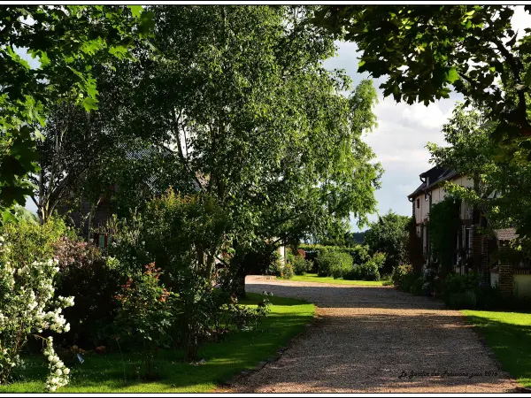 Le Jardin des Pâtissons - Chambre d'hôtes - Vacances & week-end à La Forêt-du-Parc