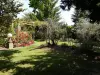 Le jardin provencal