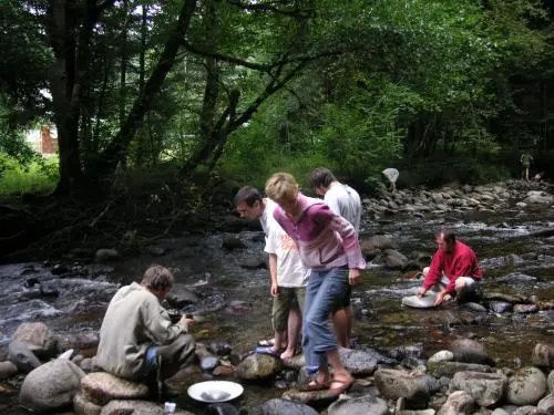 Le Moulin de Serre - Burand goldmining river camping le moulin de serre