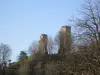 Le Moulin à vent Chambre d'hôte - Tours d'Anne de Bretagne, vues de la chambre bayadère