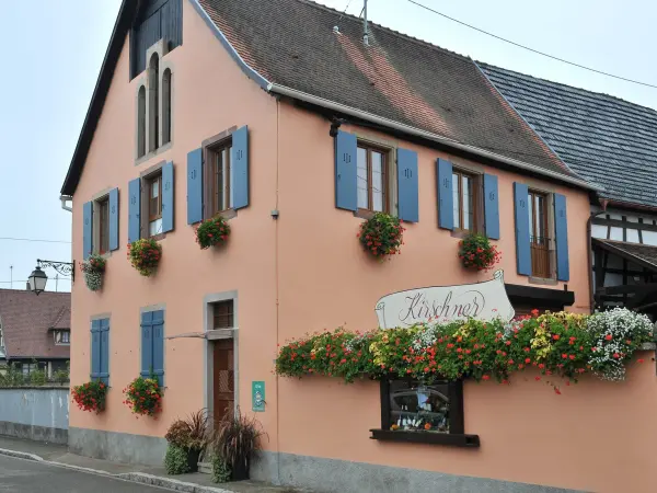 Le Muscat - location dans village viticole - Location - Vacances & week-end à Dambach-la-Ville