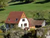 Le Panoramic et la Marguerite - Rental - Holidays & weekends in Sondernach