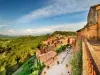 Provençaalse excursie: Ontdekking van lavendelvelden en hooggelegen dorpen - Activiteit - Vrijetijdsbesteding & Weekend in Avignon