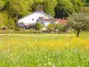 A-Rigaud - Bed & breakfast - Holidays & weekends in Bourguignon-lès-Morey