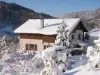 Ventron vosges chalet meublé 2 à 9 pers - Ferienunterkunft - Urlaub & Wochenende in Ventron