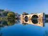 Visita guiada de Aviñón y el Palais des Papes - Actividad - Vacaciones y fines de semana en Avignon