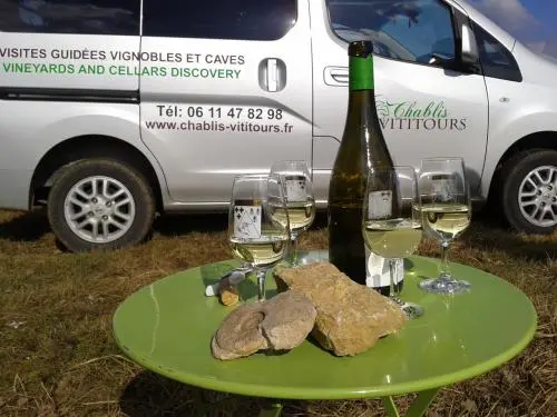 Visitas al viñedo y a las bodegas de Chablis - Actividad - Vacaciones y fines de semana en Chablis