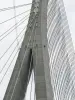 ノルマンディー橋（©フランツ）