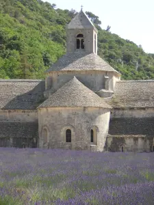 Abadía de Sénanque (© Frantz)