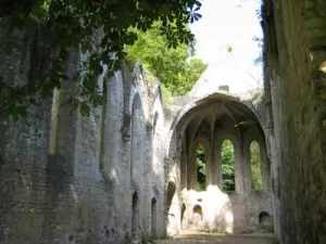 Nave e coro della chiesa abbaziale